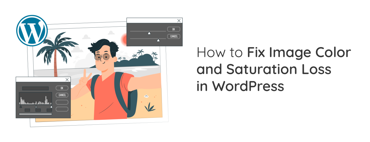 How to Fix Image Color and Saturation Loss in WordPress